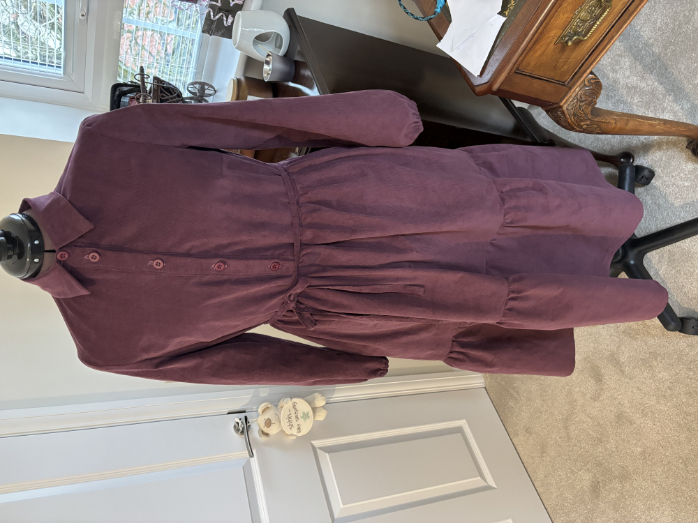 Tilly and the Buttons Lyra dress