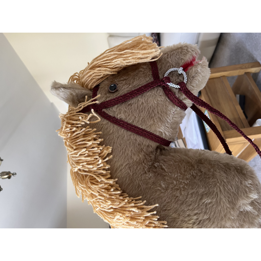 â€˜Bobâ€™ the horse