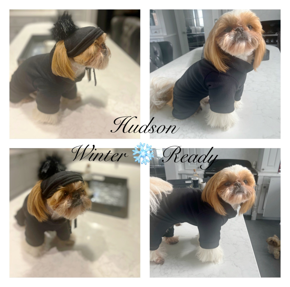 Coverstitch machine guts a game changer