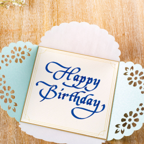 Brother ScanNCut Caligraphy Starter Kit | CADXCLGKIT1