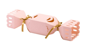 Brother ScanNCut Pig Pong Lettering Box Collection 2 |  CAPPNP02