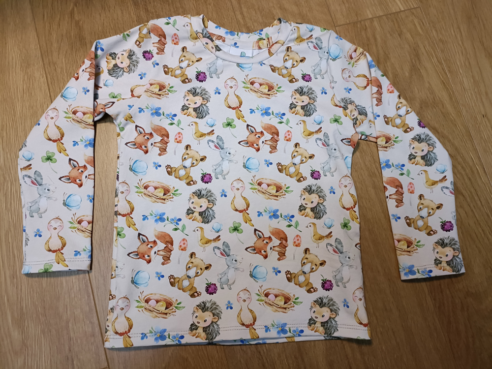 T-shirt for a little girl